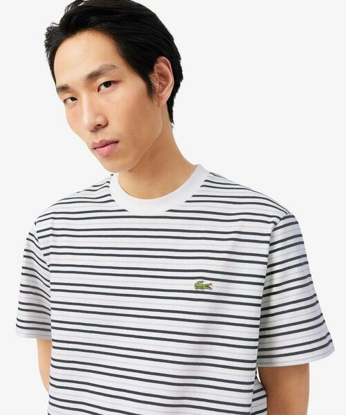 LACOSTE / ラコステ Tシャツ | ボーダーコットンTシャツ | 詳細7