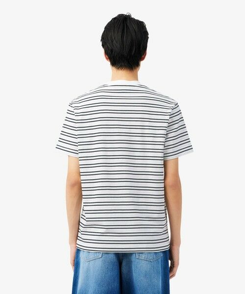 LACOSTE / ラコステ Tシャツ | ボーダーコットンTシャツ | 詳細8