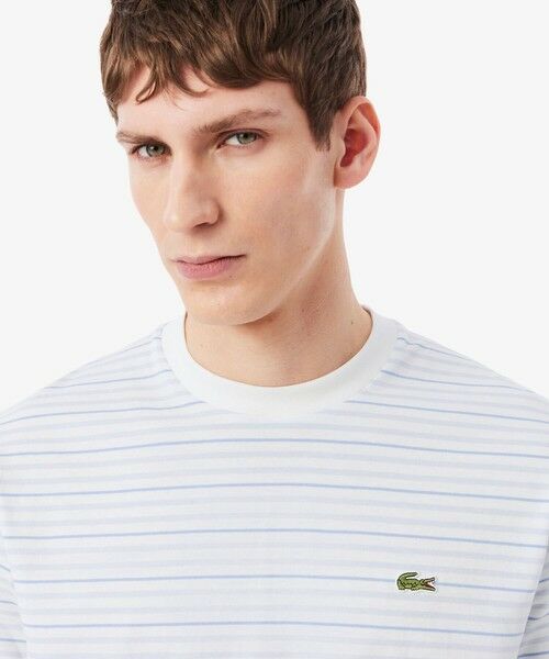 LACOSTE / ラコステ Tシャツ | ボーダーコットンTシャツ | 詳細13