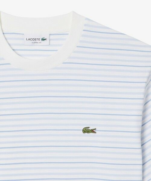LACOSTE / ラコステ Tシャツ | ボーダーコットンTシャツ | 詳細16