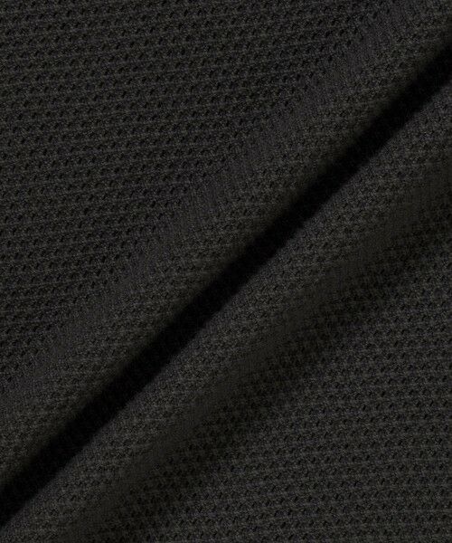 LACOSTE / ラコステ Tシャツ | 鹿の子メッシュニットTシャツ | 詳細11