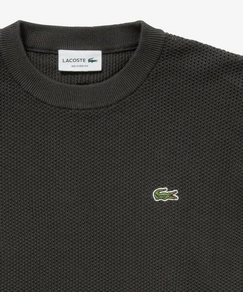 LACOSTE / ラコステ Tシャツ | 鹿の子メッシュニットTシャツ | 詳細7