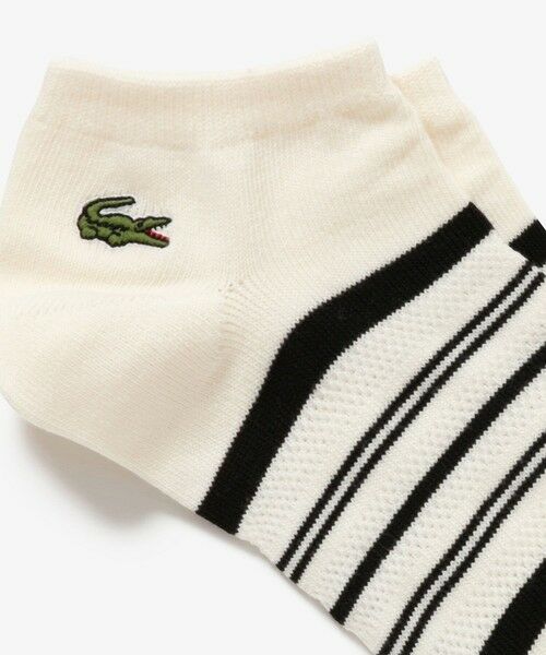 LACOSTE / ラコステ ソックス | メッシュ切り替えボーダーくるぶし丈ソックス 25-27cm | 詳細7