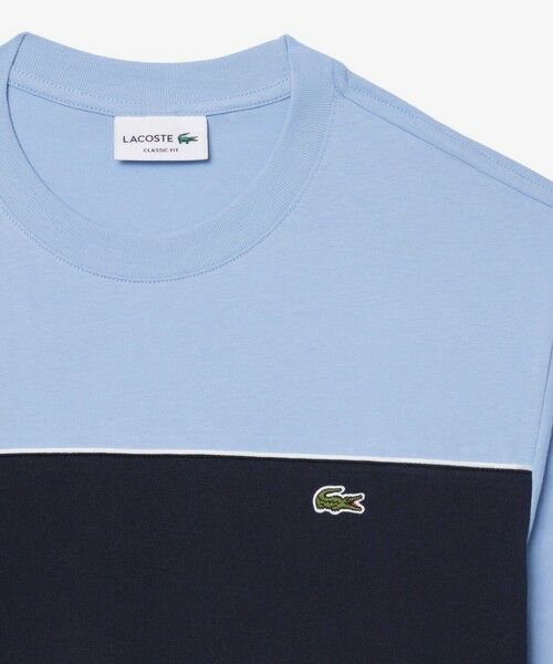 LACOSTE / ラコステ Tシャツ | 配色パイピングパネルボーダーTシャツ | 詳細3