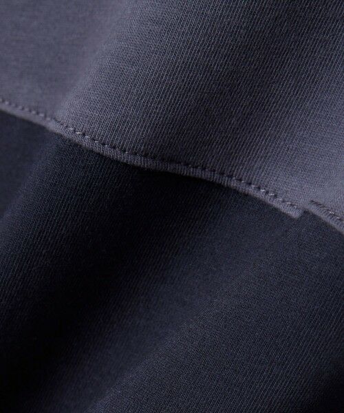 LACOSTE / ラコステ Tシャツ | 配色パイピングパネルボーダーTシャツ | 詳細4