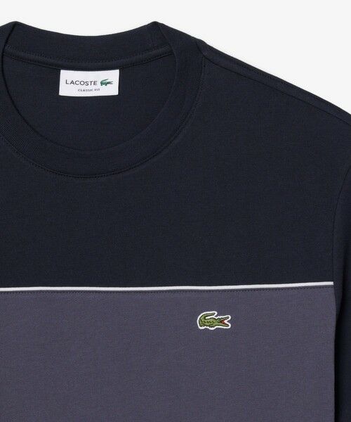 LACOSTE / ラコステ Tシャツ | 配色パイピングパネルボーダーTシャツ | 詳細9