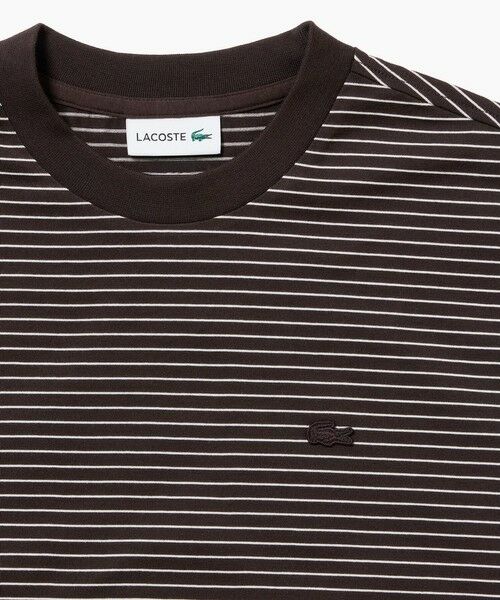 LACOSTE / ラコステ Tシャツ | 【オンライン限定】LACOSTE  ボーダー リンガーネック 半袖Tシャツ | 詳細18