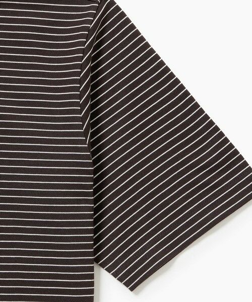 LACOSTE / ラコステ Tシャツ | 【オンライン限定】LACOSTE  ボーダー リンガーネック 半袖Tシャツ | 詳細20