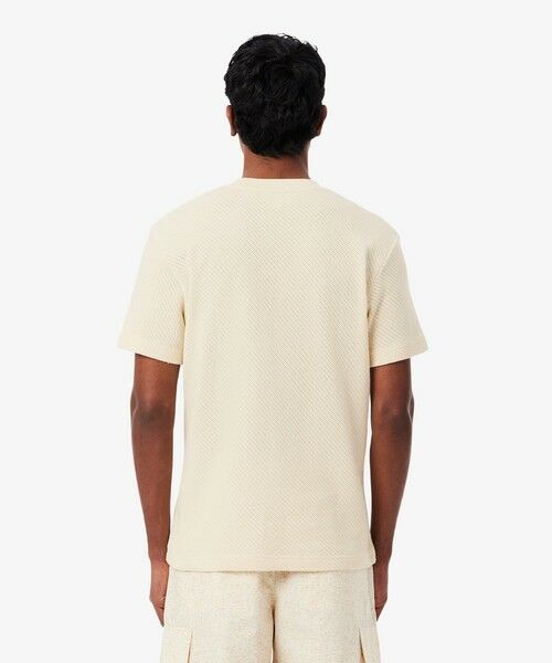 LACOSTE / ラコステ Tシャツ | コットンメッシュニットTシャツ | 詳細4