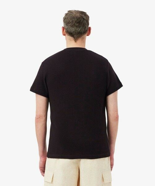 LACOSTE / ラコステ Tシャツ | コットンメッシュニットTシャツ | 詳細11