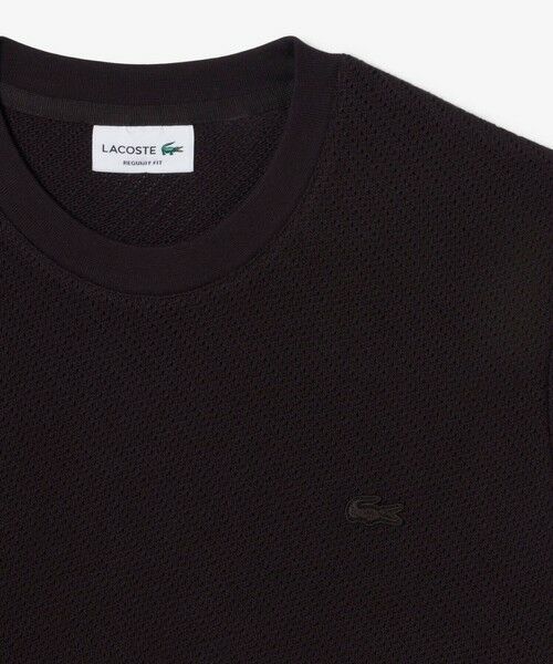 LACOSTE / ラコステ Tシャツ | コットンメッシュニットTシャツ | 詳細13