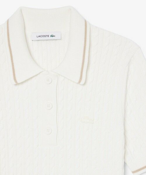 LACOSTE / ラコステ ニット・セーター | ケーブルニットポロシャツ | 詳細10