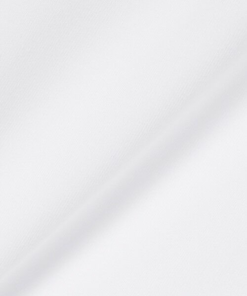 LACOSTE / ラコステ ポロシャツ | カラー＆カフスラインスリムフィットポロシャツ | 詳細6
