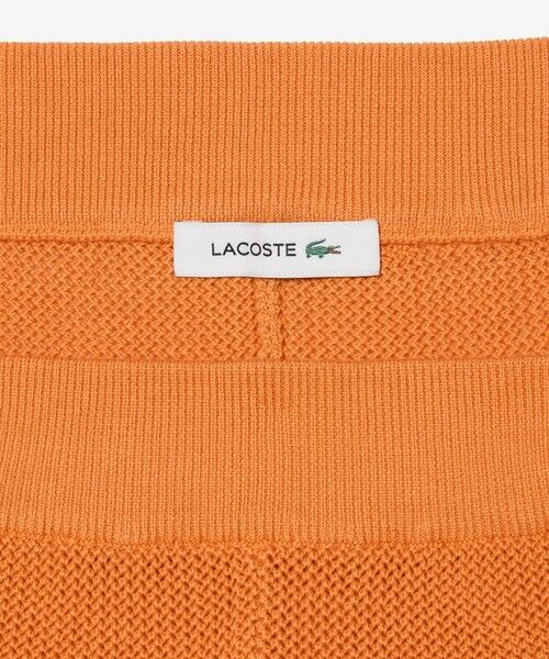 LACOSTE / ラコステ ショート・ハーフ・半端丈パンツ | ボーダーメッシュニットショーツ | 詳細7