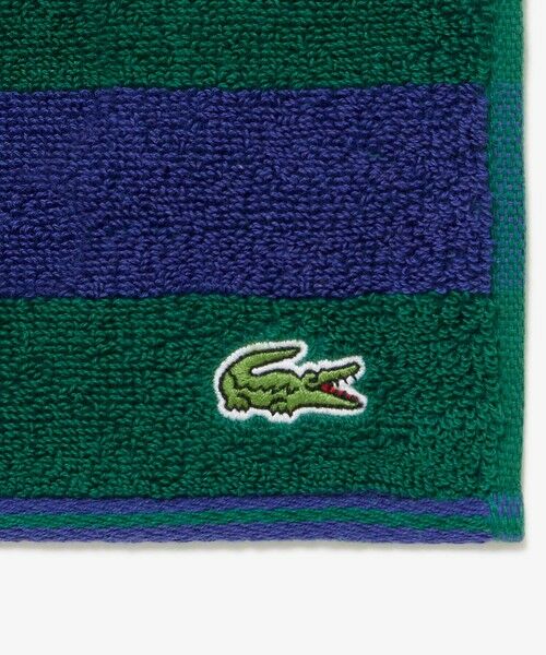 LACOSTE / ラコステ ソックス | ボーダータオルハンカチ&ラインリブショートソックスセット | 詳細6