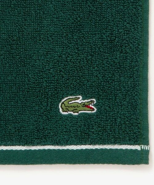LACOSTE / ラコステ ソックス | ラインハンカチタオル& 3×2リブソックスギフトセット | 詳細12
