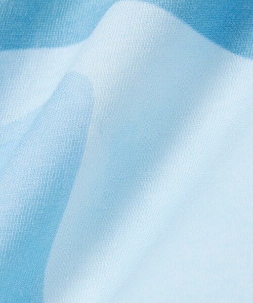 LACOSTE / ラコステ Tシャツ | クローズアップワニロゴプリントTシャツ | 詳細1