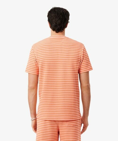 LACOSTE / ラコステ Tシャツ | ニットライクボーダーTシャツ | 詳細6