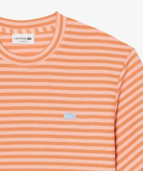LACOSTE / ラコステ Tシャツ | ニットライクボーダーTシャツ | 詳細7