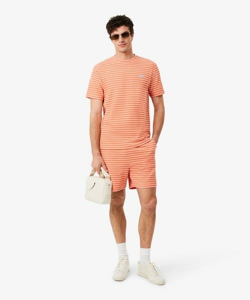 LACOSTE / ラコステ Tシャツ | ニットライクボーダーTシャツ | 詳細9