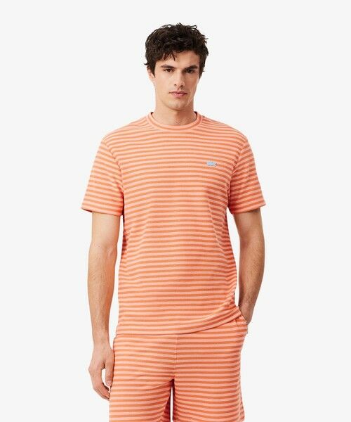 LACOSTE / ラコステ Tシャツ | ニットライクボーダーTシャツ | 詳細3