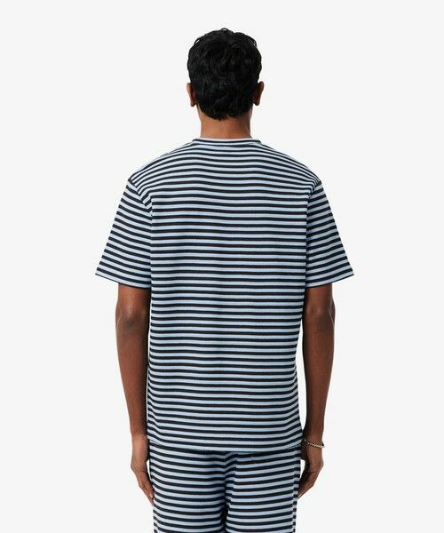LACOSTE / ラコステ Tシャツ | ニットライクボーダーTシャツ | 詳細12