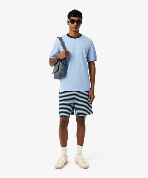 LACOSTE / ラコステ Tシャツ | 配色ネックリブリンガーネックTシャツ | 詳細14
