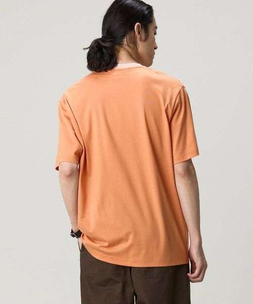 LACOSTE / ラコステ Tシャツ | 配色ネックリブリンガーネックTシャツ | 詳細15