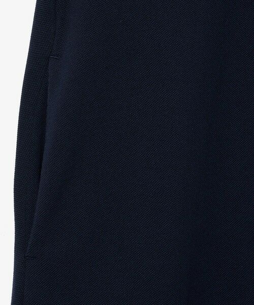 LACOSTE / ラコステ ミニ丈・ひざ丈ワンピース | ラインリブスキッパーネック鹿の子ポロドレス | 詳細5