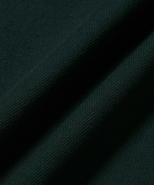 LACOSTE / ラコステ ミニ丈・ひざ丈ワンピース | ラインリブスキッパーネック鹿の子ポロドレス | 詳細20