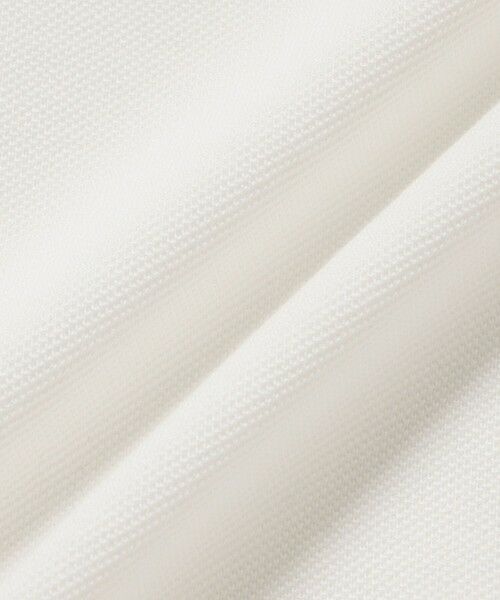 LACOSTE / ラコステ ポロシャツ | ワニロゴグラフィックボーダーポロシャツ | 詳細13