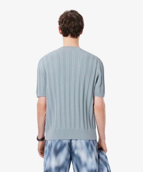 LACOSTE / ラコステ ニット・セーター | レーヨンブレンド ストライプ リブニットショートスリーブセーター | 詳細4