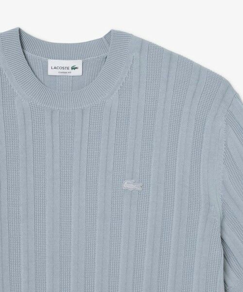 LACOSTE / ラコステ ニット・セーター | レーヨンブレンド ストライプ リブニットショートスリーブセーター | 詳細6