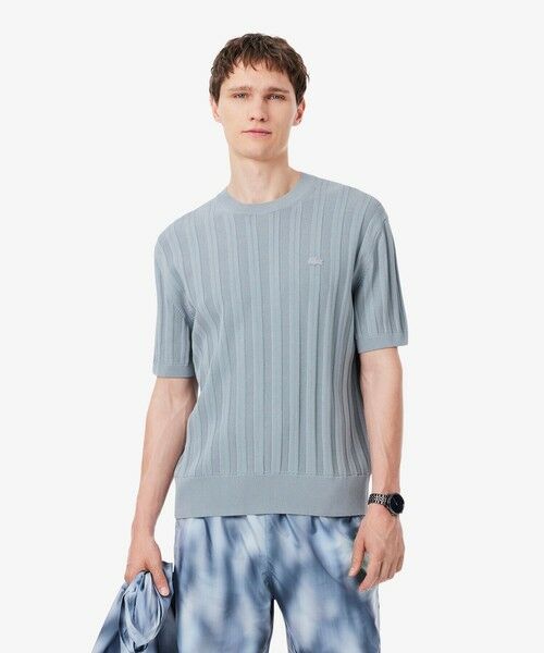 LACOSTE / ラコステ ニット・セーター | レーヨンブレンド ストライプ リブニットショートスリーブセーター（ライトグレー）