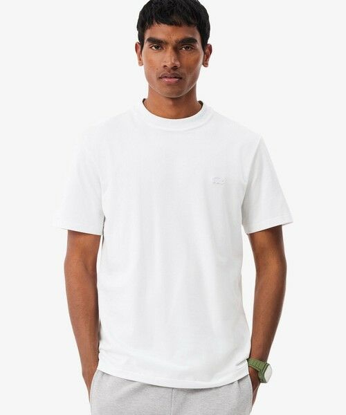 LACOSTE / ラコステ Tシャツ | ジャカードブランドネームネック鹿の子Tシャツ（ホワイト）