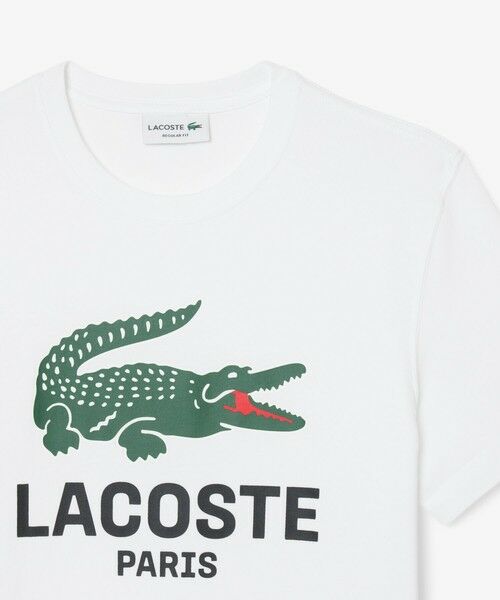 LACOSTE / ラコステ Tシャツ | ビッグワニロゴプリントTシャツ | 詳細1