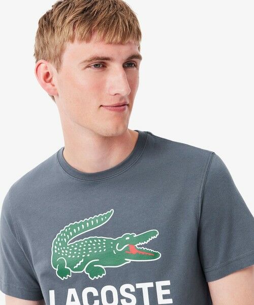 LACOSTE / ラコステ Tシャツ | ビッグワニロゴプリントTシャツ | 詳細15