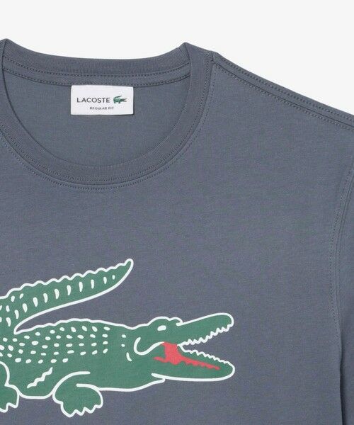 LACOSTE / ラコステ Tシャツ | ビッグワニロゴプリントTシャツ | 詳細18