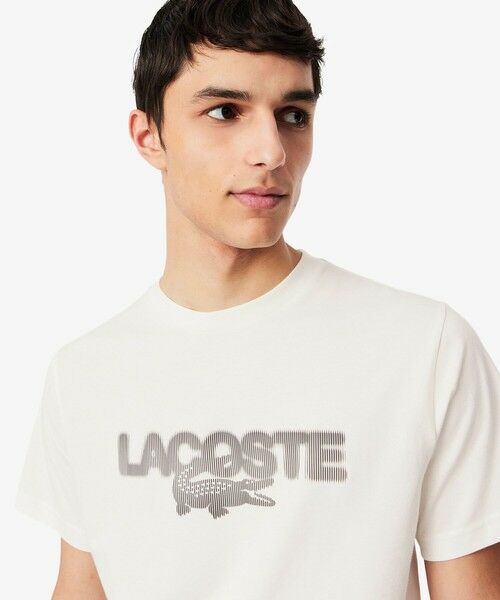 LACOSTE / ラコステ Tシャツ | グラフィックプリントコットンTシャツ | 詳細1