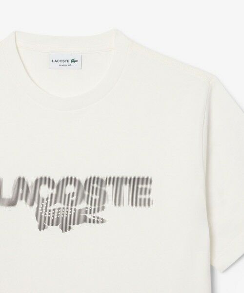 LACOSTE / ラコステ Tシャツ | グラフィックプリントコットンTシャツ | 詳細4