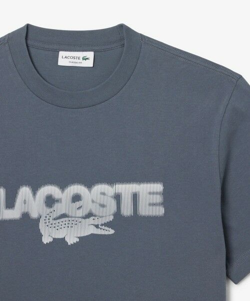 LACOSTE / ラコステ Tシャツ | グラフィックプリントコットンTシャツ | 詳細13