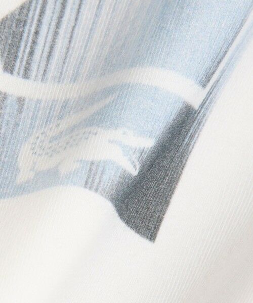 LACOSTE / ラコステ Tシャツ | テニスボールグラフィックプリントTシャツ | 詳細8