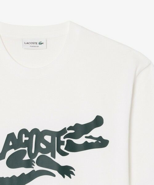 LACOSTE / ラコステ Tシャツ | ビッグワニグラフィックプリントTシャツ | 詳細6