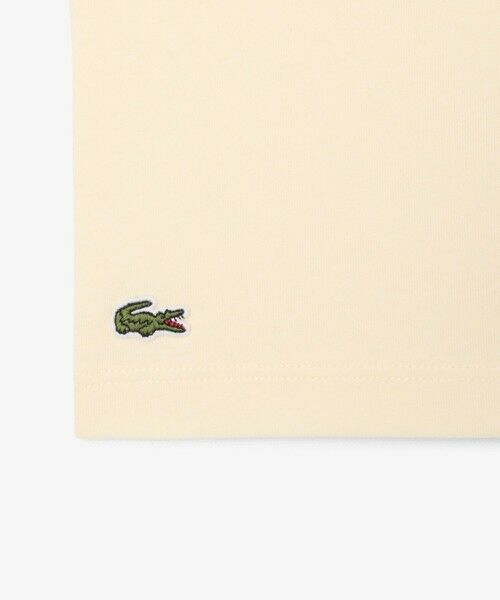 LACOSTE / ラコステ Tシャツ | 【EC限定】BOYSマルチカラーブランドネームロゴTシャツ | 詳細16