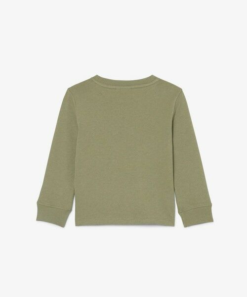 LACOSTE / ラコステ Tシャツ | 【EC限定】BOYSマルチカラーブランドネームロゴ長袖Tシャツ | 詳細10