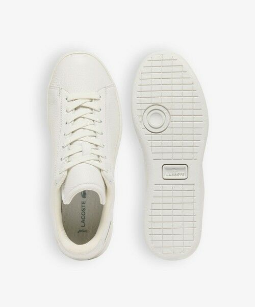 LACOSTE / ラコステ スニーカー | レディース CARNABY SHIELD 226 1 SFA | 詳細3