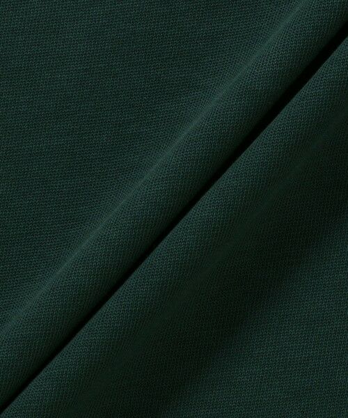LACOSTE / ラコステ Tシャツ | ネーム&ワニロゴグラフィック長袖Tシャツ | 詳細1