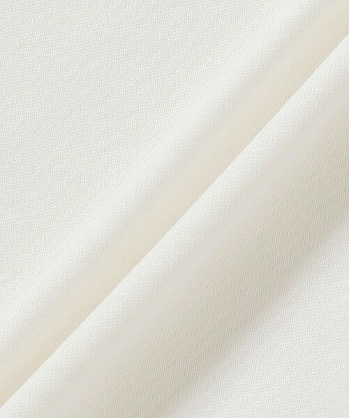 LACOSTE / ラコステ Tシャツ | ネーム&ワニロゴグラフィック長袖Tシャツ | 詳細12