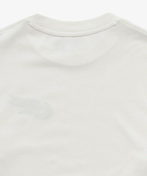 LACOSTE / ラコステ Tシャツ | ネーム&ワニロゴグラフィック長袖Tシャツ | 詳細21