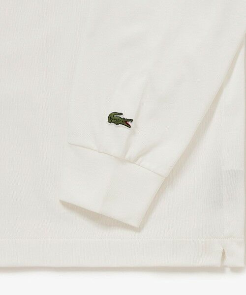 LACOSTE / ラコステ Tシャツ | ネーム&ワニロゴグラフィック長袖Tシャツ | 詳細22